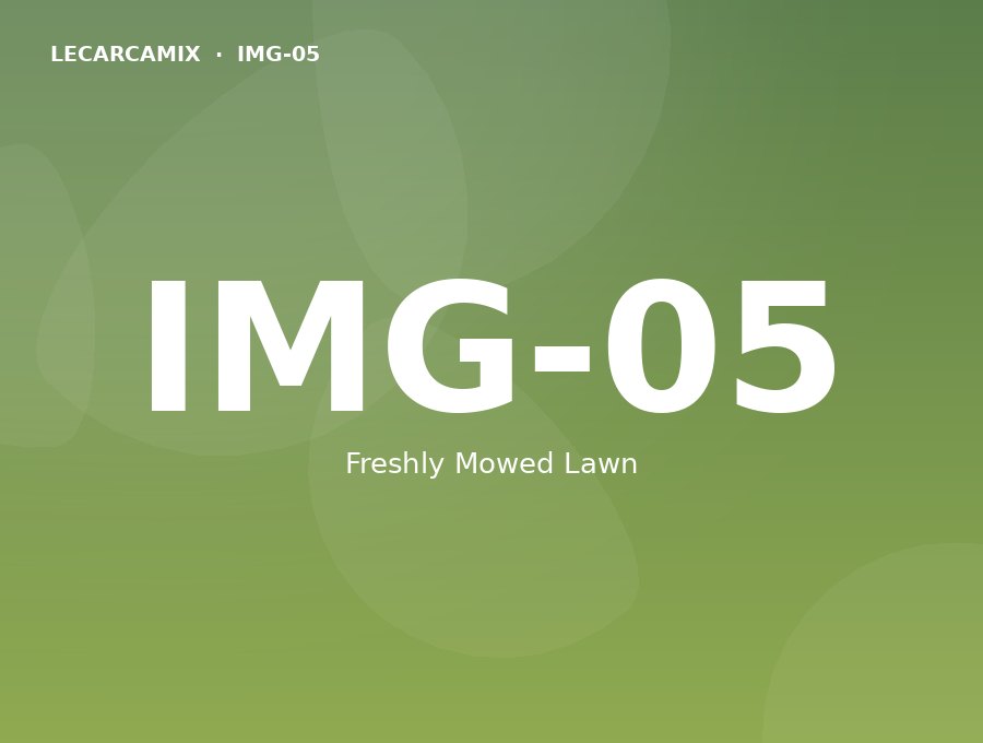 LeCarcamix work — Freshly mowed lawn