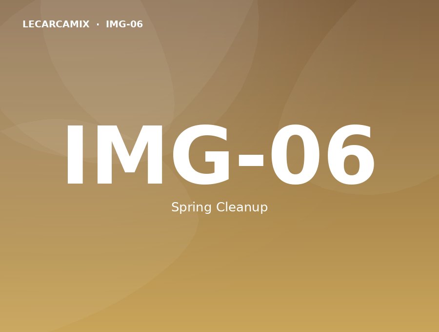 LeCarcamix work — Spring Cleanup