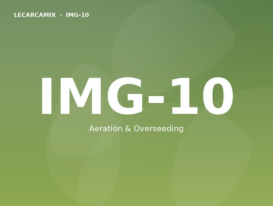 LeCarcamix work — Aeration & Overseeding