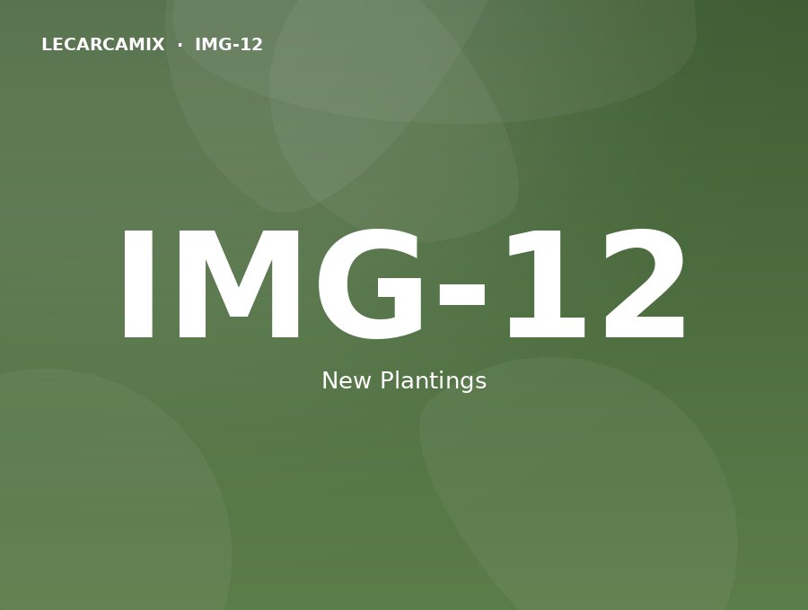 LeCarcamix work — New plantings in a garden bed