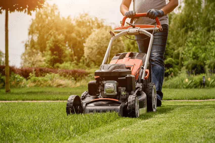 Lawn & Garden Care