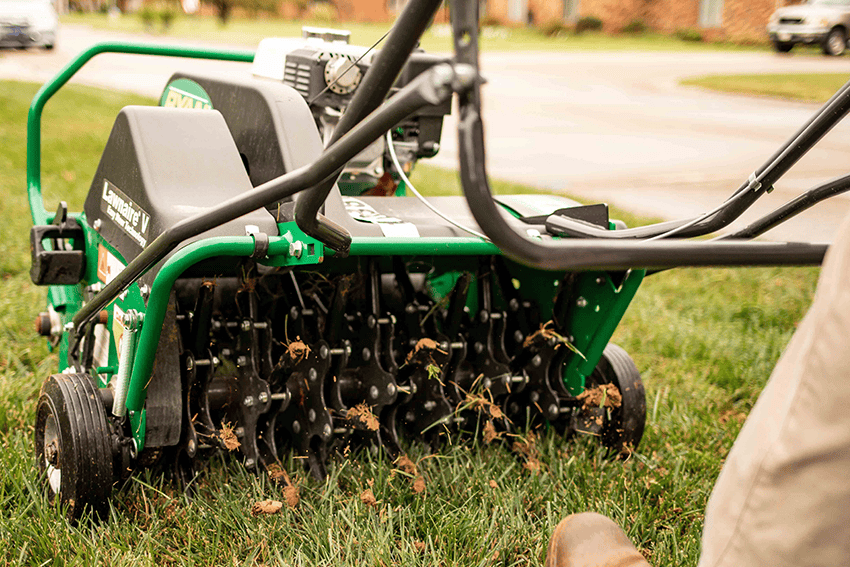 Aeration & Power Raking