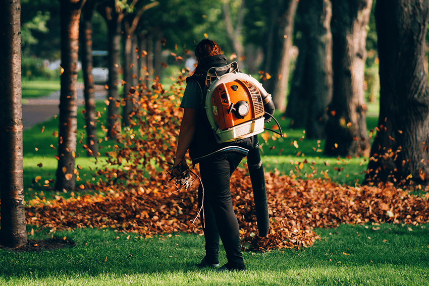 Spring & Fall Cleanup