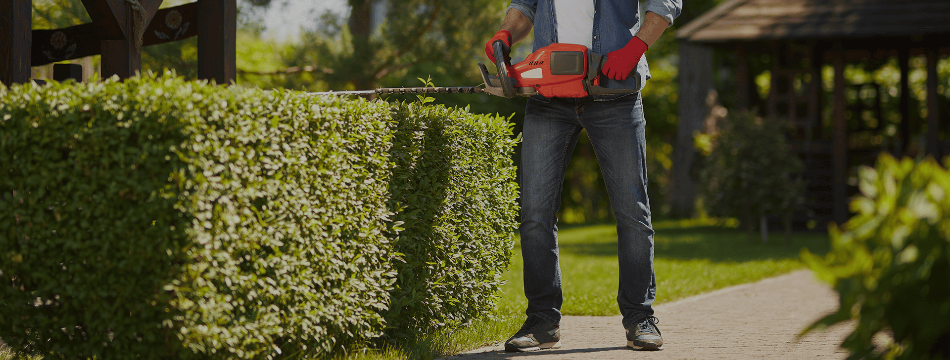 Your lawn and landscape
the way that it should